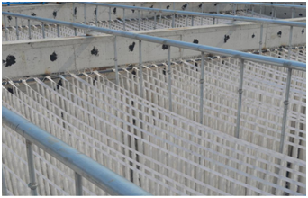 59bb83743fa4b.png blob.png