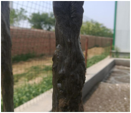 59bb838f9a358.png blob.png