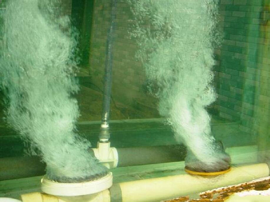 59f1c5b0b5cad.jpg 100007661485_13759256573691.jpg